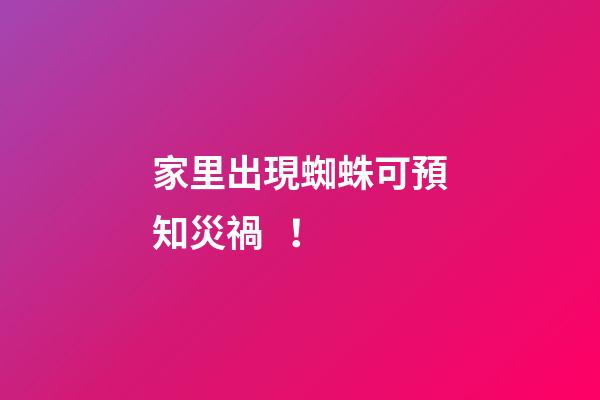 家里出現蜘蛛可預知災禍！